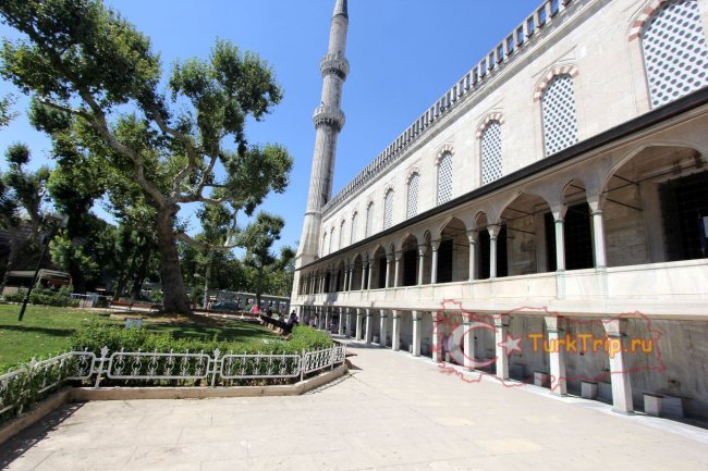 Двор Голубой мечети 