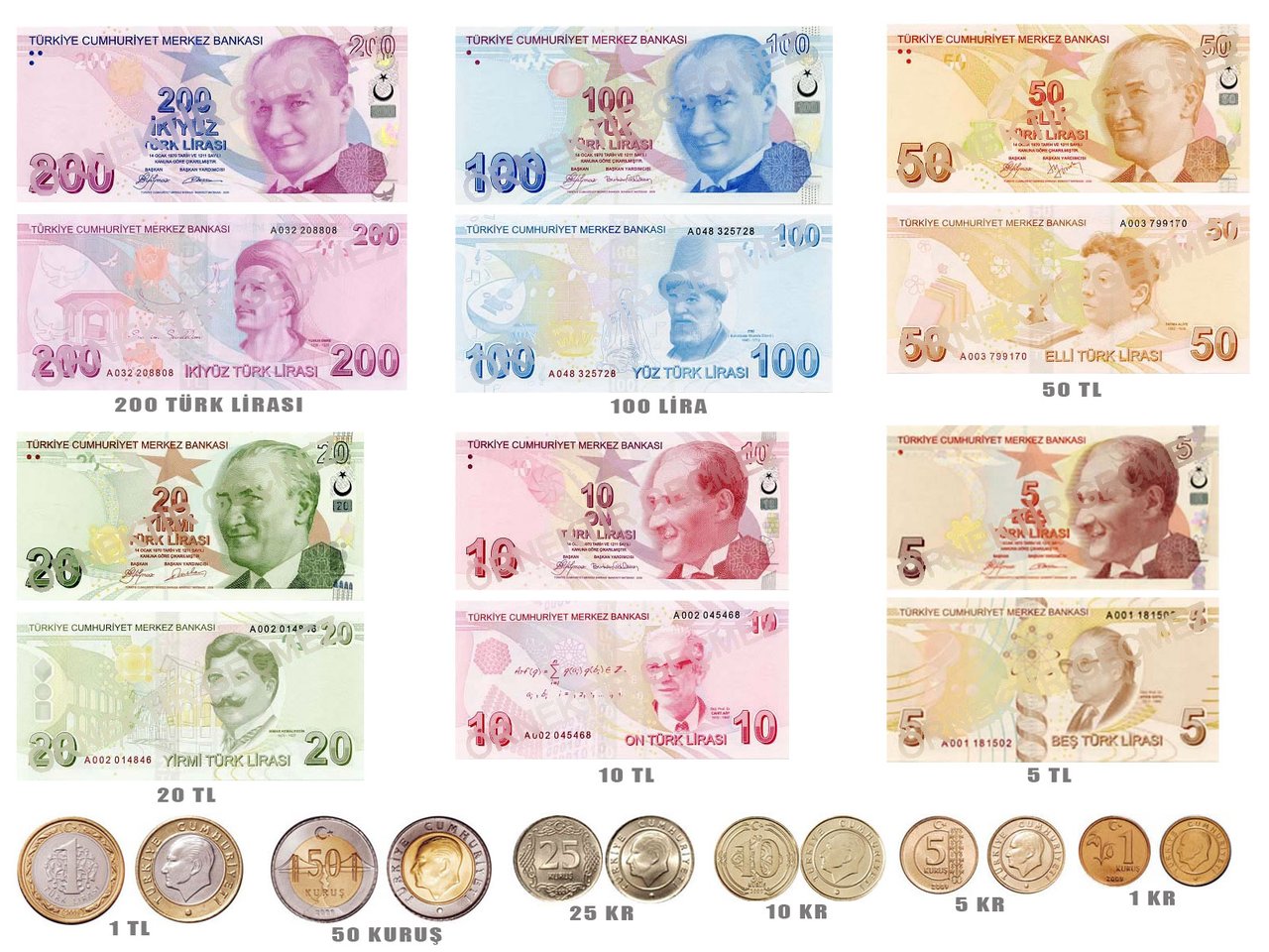 Обмен валюты турецкой лиры на рубли макрос обмена валют