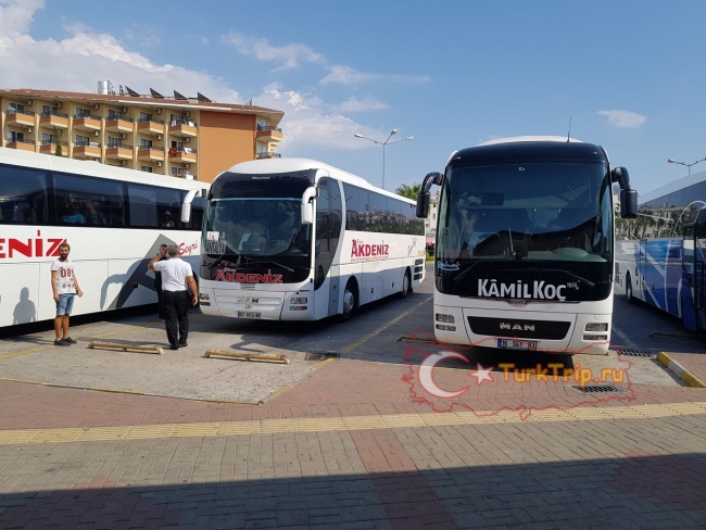 Автобус компании Akdeniz в Анталию