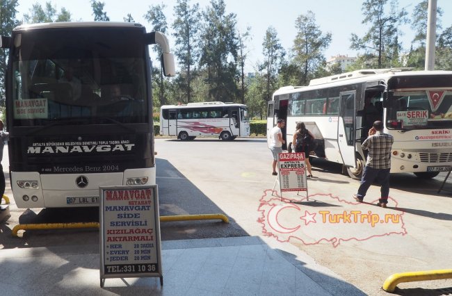 Автобус в Сиде и Манавгат на автовокзале Анталия