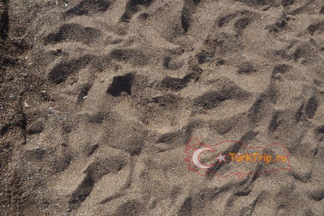 Песок на пляже Лара