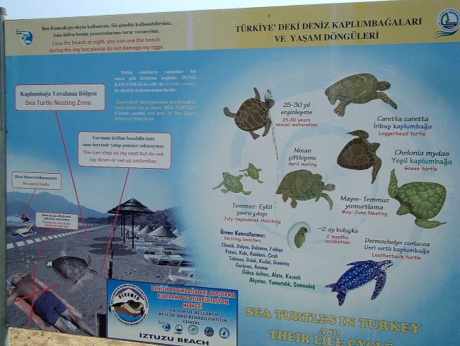 Осторожно - табличка черепахи на пляже Изтузу